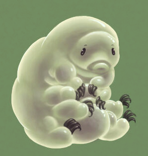 Tardigrade
